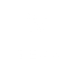 FlashFX Tera - Comprehensive, high-performance storage management for raw flash memory