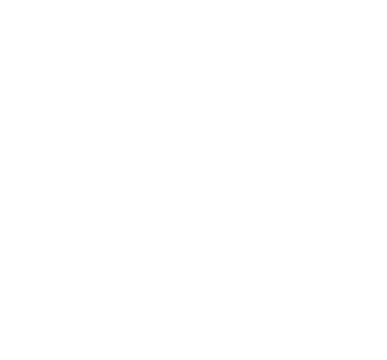 FlashFX Tera - Comprehensive, high-performance storage management for raw flash memory