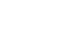 Reliance Velocity - High-performance file system for embedded flash memory