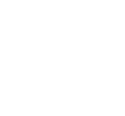 Reliance Assure - Embedded power-failsafe file system for data-at-risk